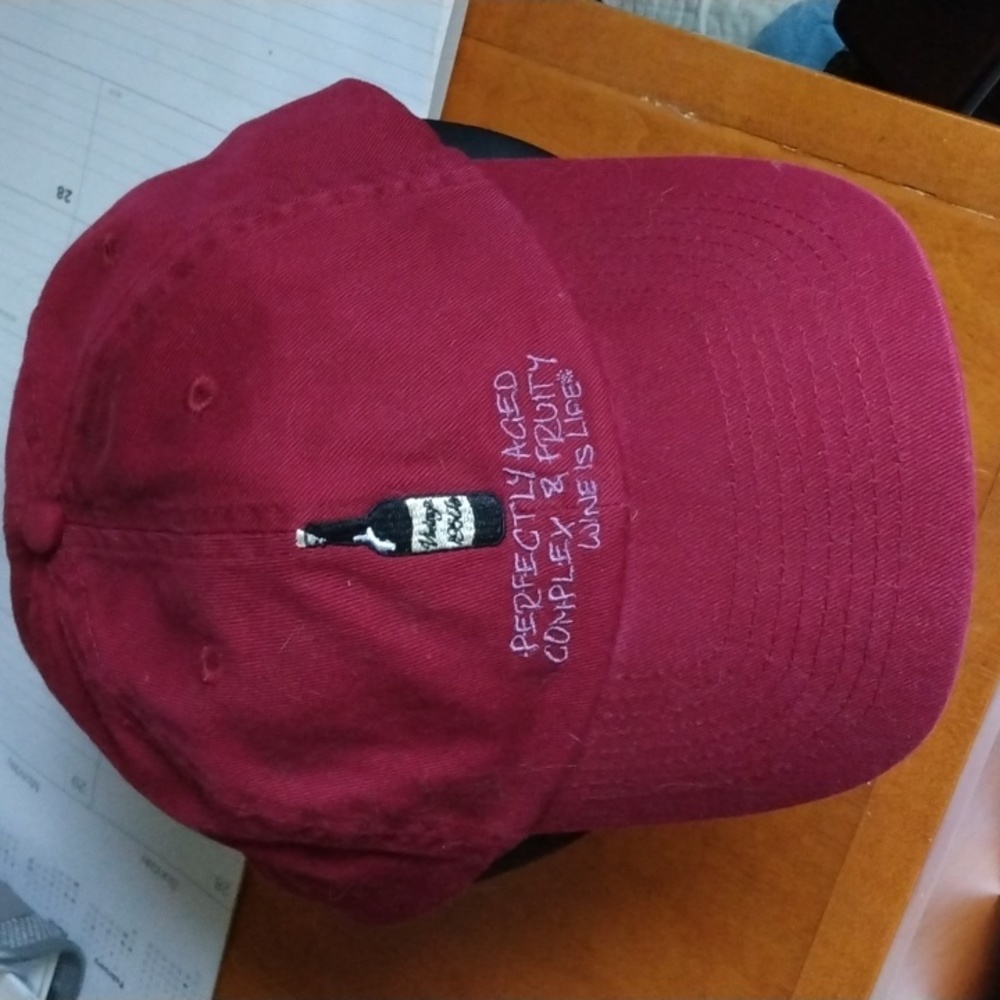 PERFECTLY AGED WINE IS LIFE NWOT BALL CAP
